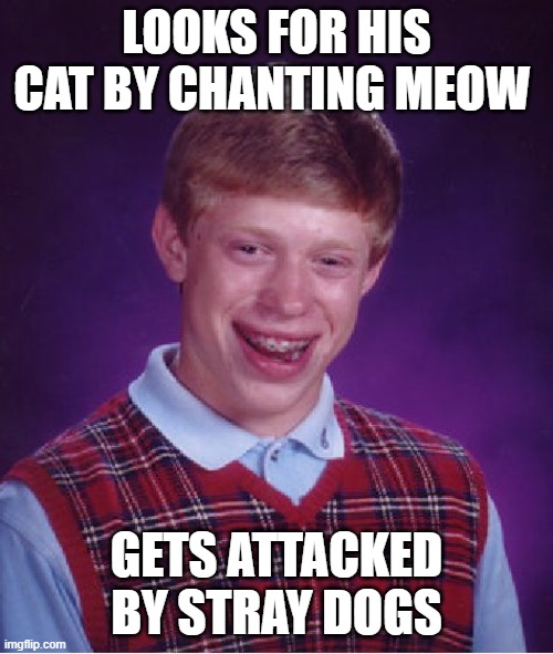 Bad Luck Brian Meme | LOOKS FOR HIS CAT BY CHANTING MEOW; GETS ATTACKED BY STRAY DOGS | image tagged in memes,bad luck brian | made w/ Imgflip meme maker