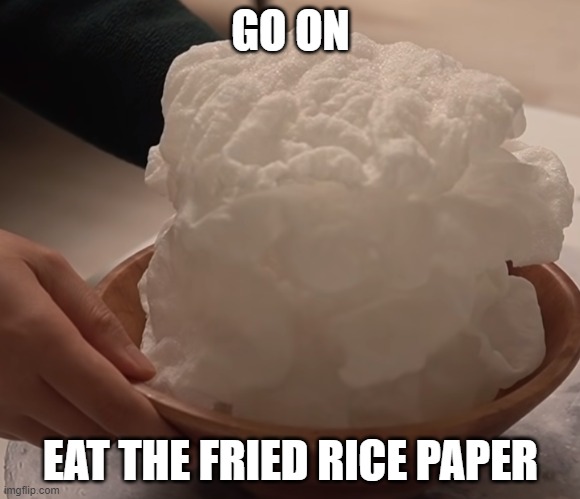 ricepaper fried | GO ON; EAT THE FRIED RICE PAPER | image tagged in rice,paper | made w/ Imgflip meme maker