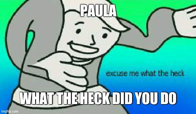 Why did ya leave an rejoin | PAULA; WHAT THE HECK DID YOU DO | image tagged in excuse me what the heck | made w/ Imgflip meme maker