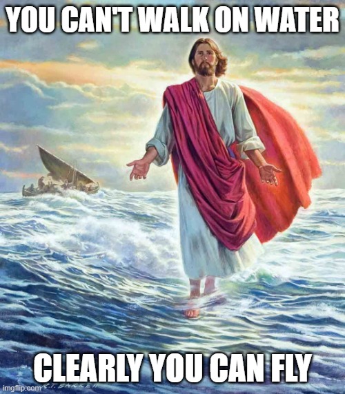 Clearly you can fly | YOU CAN'T WALK ON WATER; CLEARLY YOU CAN FLY | image tagged in walking on water | made w/ Imgflip meme maker