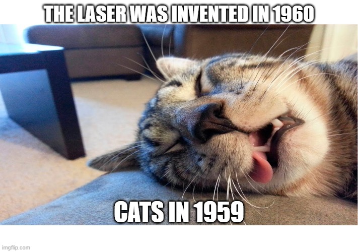 Cats before lasers | THE LASER WAS INVENTED IN 1960; CATS IN 1959 | image tagged in sleeping cat | made w/ Imgflip meme maker