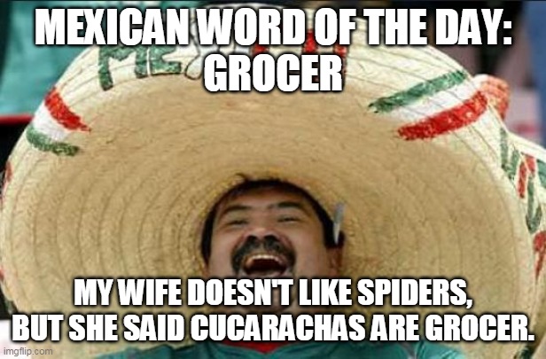 mexican word of the day | MEXICAN WORD OF THE DAY:
GROCER; MY WIFE DOESN'T LIKE SPIDERS,
BUT SHE SAID CUCARACHAS ARE GROCER. | image tagged in mexican word of the day | made w/ Imgflip meme maker