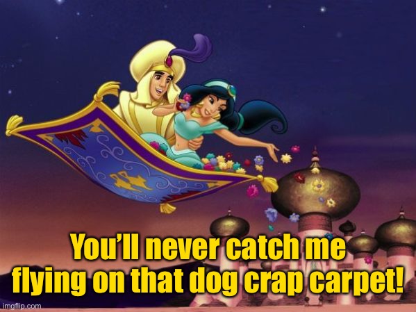 Aladdin flying carpet ride | You’ll never catch me flying on that dog crap carpet! | image tagged in aladdin flying carpet ride | made w/ Imgflip meme maker