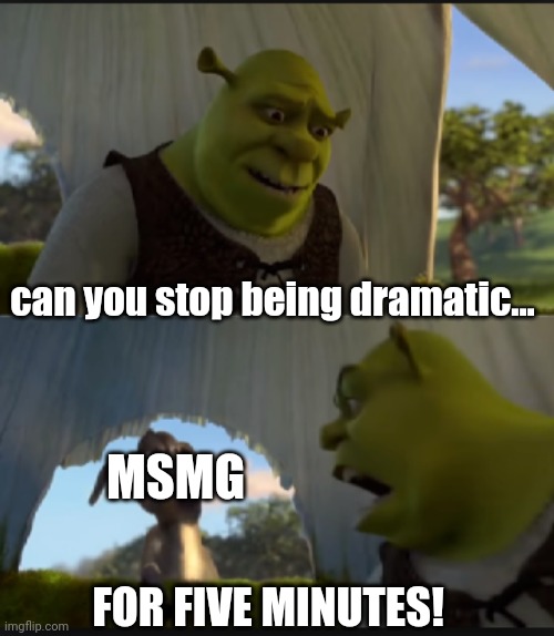 can you stop  talking | can you stop being dramatic... MSMG; FOR FIVE MINUTES! | image tagged in can you stop talking | made w/ Imgflip meme maker