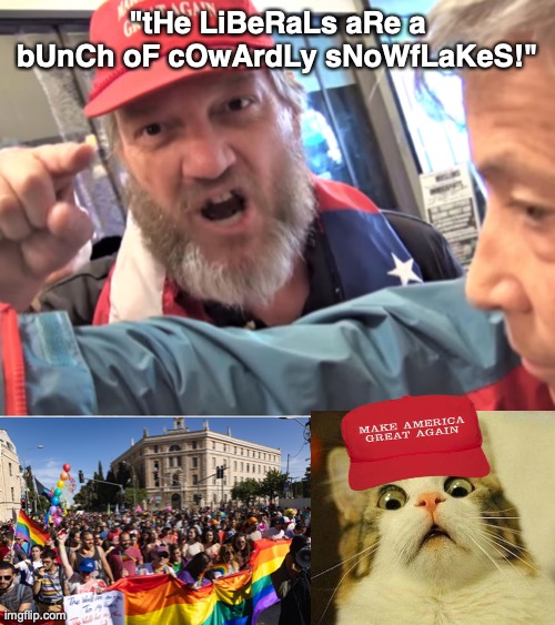 At least I'm not scared of a few   c o l o r s | "tHe LiBeRaLs aRe a bUnCh oF cOwArdLy sNoWfLaKeS!" | image tagged in angry trump supporter,maga,lgbtq,pride,republicans,republicans are stupid | made w/ Imgflip meme maker