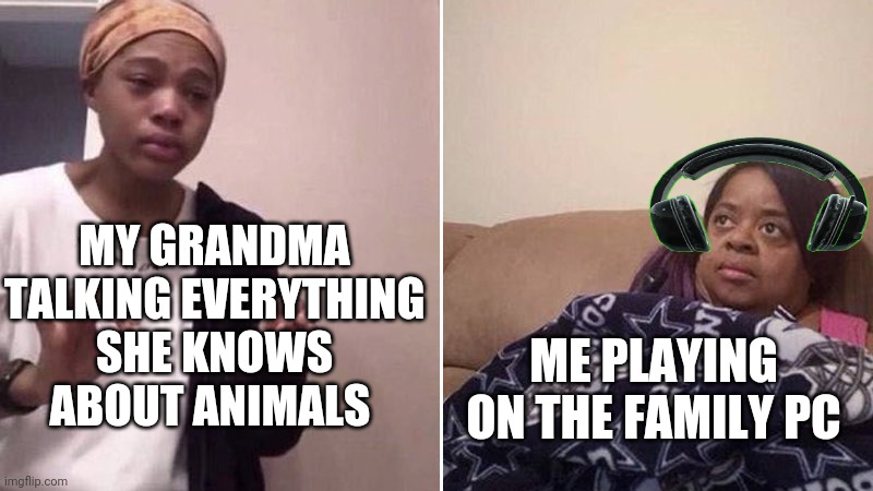 Me explaining to my mom | MY GRANDMA TALKING EVERYTHING SHE KNOWS ABOUT ANIMALS; ME PLAYING ON THE FAMILY PC | image tagged in me explaining to my mom | made w/ Imgflip meme maker