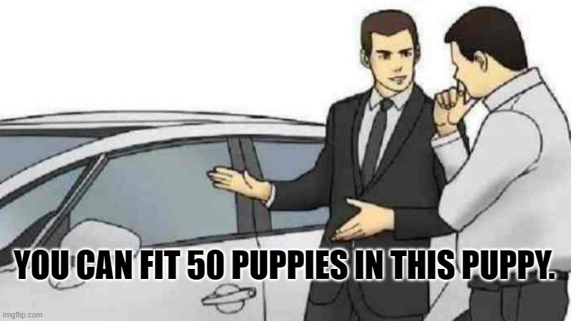 Car Salesman Slaps Roof Of Car Meme | YOU CAN FIT 50 PUPPIES IN THIS PUPPY. | image tagged in memes,car salesman slaps roof of car | made w/ Imgflip meme maker