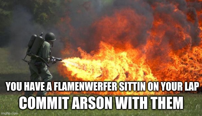 flamethrower | YOU HAVE A FLAMENWERFER SITTIN ON YOUR LAP COMMIT ARSON WITH THEM | image tagged in flamethrower | made w/ Imgflip meme maker