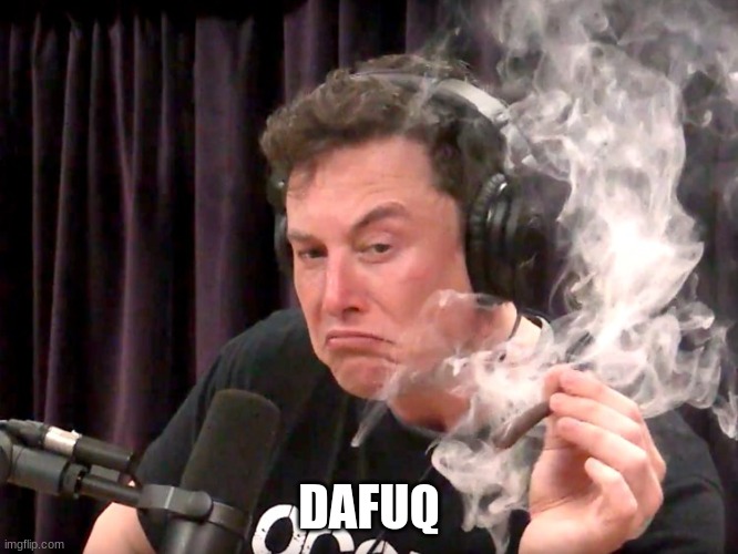 Elon Musk Weed | DAFUQ | image tagged in elon musk weed | made w/ Imgflip meme maker