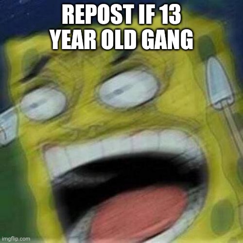 13 year old gang | REPOST IF 13 YEAR OLD GANG | image tagged in reeeeeee | made w/ Imgflip meme maker