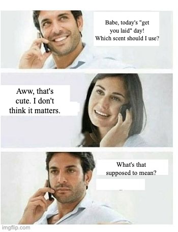 THREE PANEL TELEPHONE COUPLE BLANK | Babe, today's "get you laid" day! Which scent should I use? Aww, that's cute. I don't think it matters. What's that supposed to mean? | image tagged in three panel telephone couple blank | made w/ Imgflip meme maker