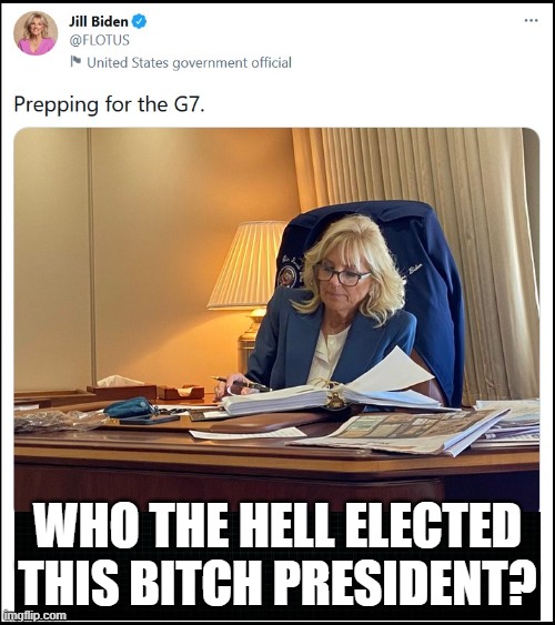 WHO DIED AND LEFT HER IN CHARGE? | WHO THE HELL ELECTED THIS BITCH PRESIDENT? | image tagged in bitch | made w/ Imgflip meme maker