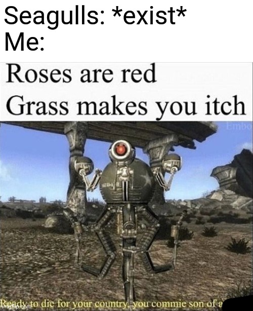 Roses are red, Grass makes you itch | Seagulls: *exist*
Me: | image tagged in roses are red grass makes you itch | made w/ Imgflip meme maker