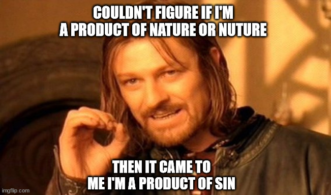 One Does Not Simply Meme | COULDN'T FIGURE IF I'M A PRODUCT OF NATURE OR NUTURE; THEN IT CAME TO ME I'M A PRODUCT OF SIN | image tagged in memes,one does not simply | made w/ Imgflip meme maker