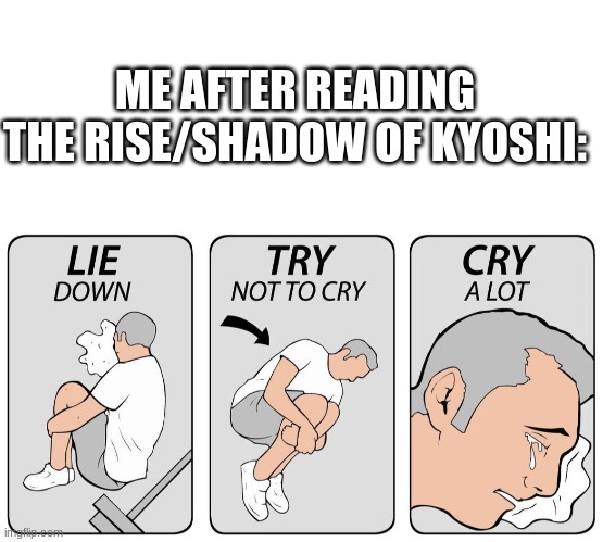 Hello darkness my old friend | ME AFTER READING THE RISE/SHADOW OF KYOSHI: | image tagged in blank white template,try not to cry,avatar the last airbender,avatar,books | made w/ Imgflip meme maker