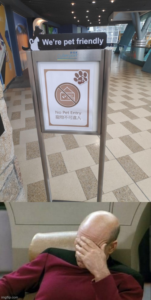 Can I bring my pug here or what? | image tagged in memes,captain picard facepalm,unfunny | made w/ Imgflip meme maker