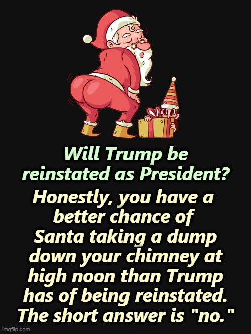 No. | Honestly, you have a 
better chance of 
Santa taking a dump down your chimney at high noon than Trump has of being reinstated.
The short answer is "no."; Will Trump be reinstated as President? | image tagged in trump,president,never,again | made w/ Imgflip meme maker
