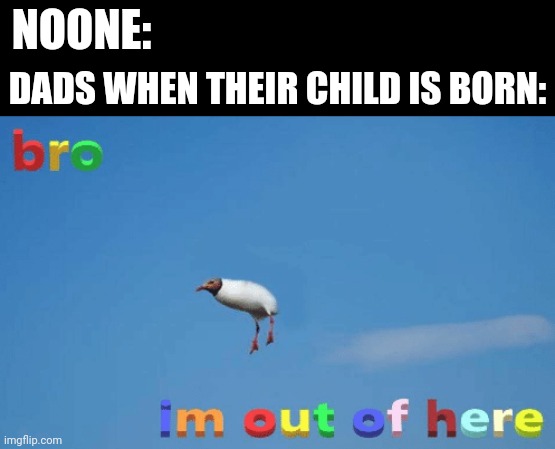 bro im out of here | NOONE:; DADS WHEN THEIR CHILD IS BORN: | image tagged in bro im out of here,dads,memes,funny,birds,seagull | made w/ Imgflip meme maker