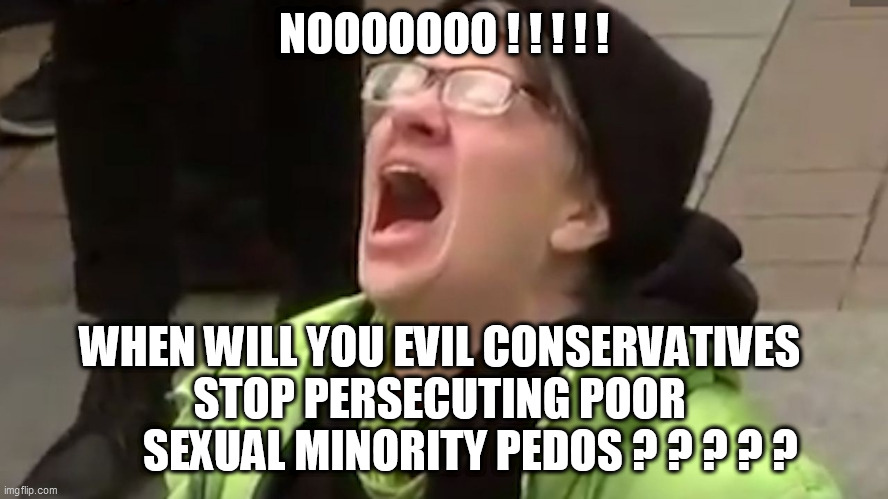 Screaming Liberal  | NOOOOOOO ! ! ! ! ! WHEN WILL YOU EVIL CONSERVATIVES 
STOP PERSECUTING POOR 
      SEXUAL MINORITY PEDOS ? ? ? ? ? | image tagged in screaming liberal | made w/ Imgflip meme maker
