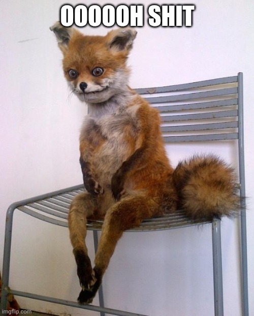 Stoned Fox | OOOOOH SHIT | image tagged in stoned fox | made w/ Imgflip meme maker