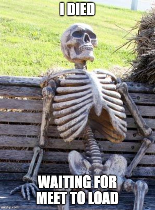 internet is cruel | I DIED; WAITING FOR MEET TO LOAD | image tagged in memes,waiting skeleton,internet | made w/ Imgflip meme maker
