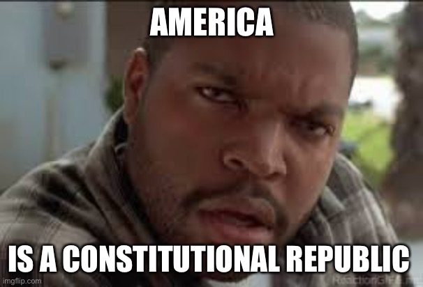 Dumb Ass | AMERICA IS A CONSTITUTIONAL REPUBLIC | image tagged in dumb ass | made w/ Imgflip meme maker