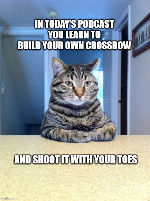 Take A Seat Cat | IN TODAY'S PODCAST YOU LEARN TO BUILD YOUR OWN CROSSBOW; AND SHOOT IT WITH YOUR TOES | image tagged in memes,take a seat cat | made w/ Imgflip meme maker
