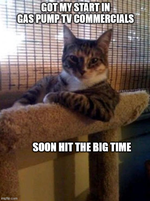 The Most Interesting Cat In The World | GOT MY START IN GAS PUMP TV COMMERCIALS; SOON HIT THE BIG TIME | image tagged in memes,the most interesting cat in the world | made w/ Imgflip meme maker