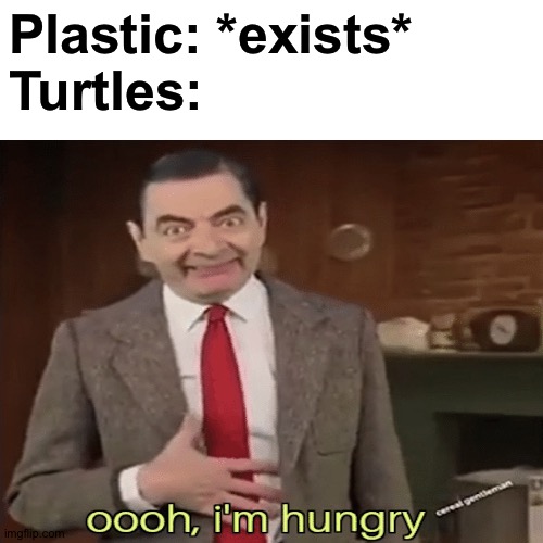 They do be like | Plastic: *exists*
Turtles: | image tagged in memes,funny,mr bean,turtles,funny memes,dank memes | made w/ Imgflip meme maker