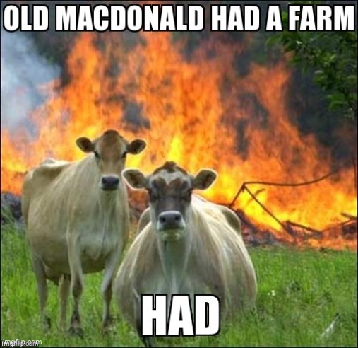 Cow revenge | image tagged in cows,burn,burning,revenge | made w/ Imgflip meme maker