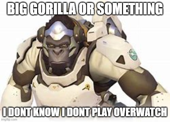 idk | BIG GORILLA OR SOMETHING; I DONT KNOW I DONT PLAY OVERWATCH | image tagged in overwatch | made w/ Imgflip meme maker
