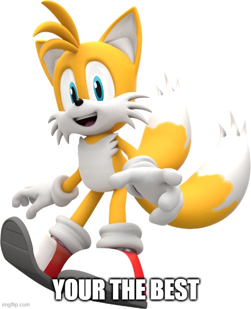 tails | YOUR THE BEST | image tagged in tails | made w/ Imgflip meme maker