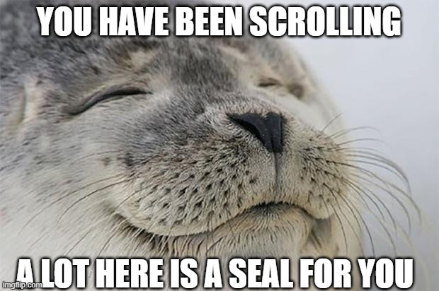YOU HAVE BEEN SCROLLINGA LOT HERES A SEAL | YOU HAVE BEEN SCROLLING; A LOT HERE IS A SEAL FOR YOU | image tagged in memes,satisfied seal | made w/ Imgflip meme maker