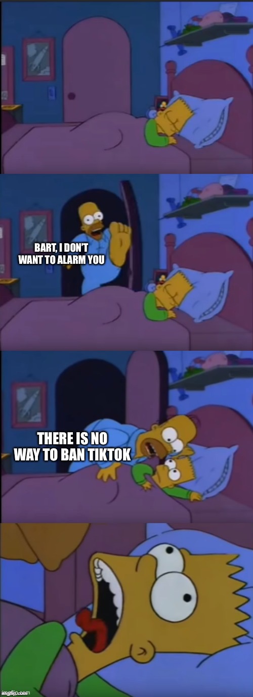 There is no way to ban tiktok | BART, I DON’T WANT TO ALARM YOU; THERE IS NO WAY TO BAN TIKTOK | image tagged in bart i don't want to alarm you,tiktok,screaming | made w/ Imgflip meme maker
