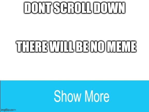 Dont scoll down there will be no meme hey dont fine do it but im warning you no meme | DONT SCROLL DOWN; THERE WILL BE NO MEME | image tagged in blank white template | made w/ Imgflip meme maker