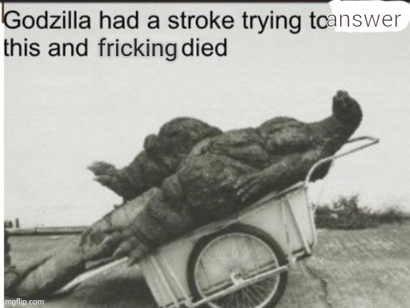 Godzilla had a stroke trying to read this and fricking died | answer | image tagged in godzilla had a stroke trying to read this and fricking died | made w/ Imgflip meme maker