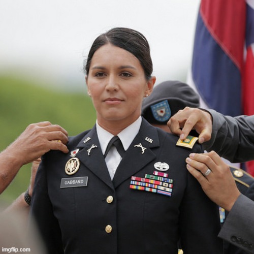 Tulsi Hero | image tagged in tulsi hero | made w/ Imgflip meme maker