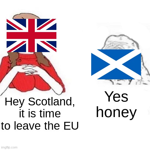 Yes Honey |  Yes honey; Hey Scotland, it is time to leave the EU | image tagged in yes honey | made w/ Imgflip meme maker
