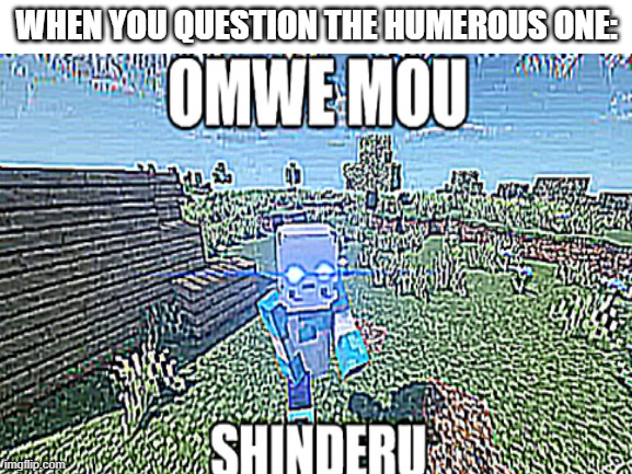 NEVER QUESTION THE HUMEROUS ONE | WHEN YOU QUESTION THE HUMEROUS ONE: | image tagged in omwe mou shinderu,nani,swap sans,cannon swap,this does not please the almighty one | made w/ Imgflip meme maker