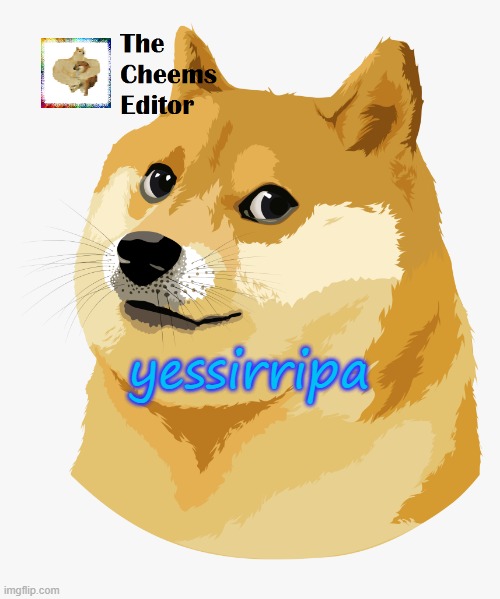 yessirripa | image tagged in thecheemseditor announcement template | made w/ Imgflip meme maker