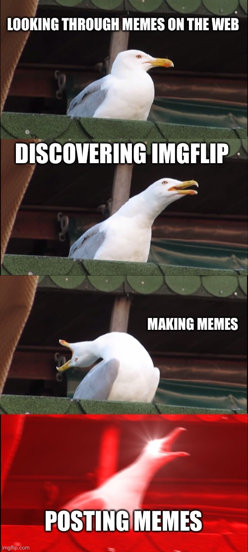 Idk. First meme. | LOOKING THROUGH MEMES ON THE WEB; DISCOVERING IMGFLIP; MAKING MEMES; POSTING MEMES | image tagged in memes,inhaling seagull | made w/ Imgflip meme maker