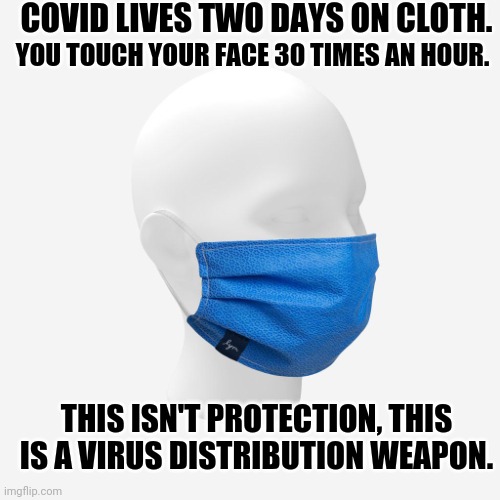 Thanks for smothering me with your security blanket. | COVID LIVES TWO DAYS ON CLOTH. YOU TOUCH YOUR FACE 30 TIMES AN HOUR. THIS ISN'T PROTECTION, THIS IS A VIRUS DISTRIBUTION WEAPON. | image tagged in facemask,logic,beats,pseudoscience | made w/ Imgflip meme maker