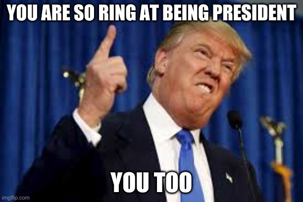 Donald Trump  | YOU ARE SO RING AT BEING PRESIDENT; YOU TOO | image tagged in donald trump | made w/ Imgflip meme maker