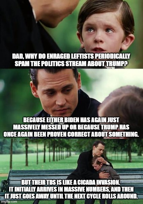 Yes . . . there is a pattern to the periodic TDS spamming of the Politics Stream | DAD, WHY DO ENRAGED LEFTISTS PERIODICALLY SPAM THE POLITICS STREAM ABOUT TRUMP? BECAUSE EITHER BIDEN HAS AGAIN JUST MASSIVELY MESSED UP OR BECAUSE TRUMP HAS ONCE AGAIN BEEN PROVEN CORRECT ABOUT SOMETHING. BUT THEIR TDS IS LIKE A CICADA INVASION.  IT INITIALLY ARRIVES IN MASSIVE NUMBERS, AND THEN IT JUST GOES AWAY UNTIL THE NEXT CYCLE ROLLS AROUND. | image tagged in memes,finding neverland | made w/ Imgflip meme maker