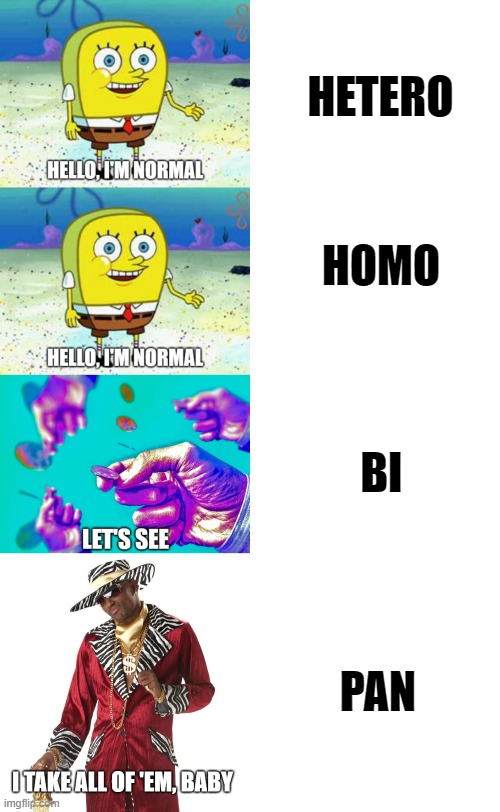 LGBT in a nutshell | HETERO; HOMO; BI; PAN | image tagged in lgbt,memes,funny,lgbtq,spongebob,pimp | made w/ Imgflip meme maker