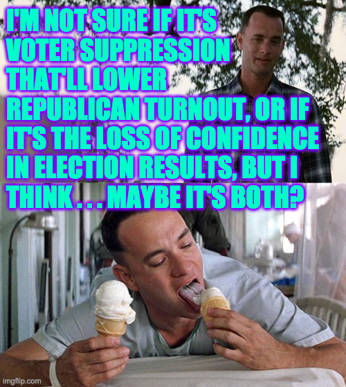 This whole strategy is going to backfire pretty awfully. | I'M NOT SURE IF IT'S
VOTER SUPPRESSION
THAT'LL LOWER
REPUBLICAN TURNOUT, OR IF
IT'S THE LOSS OF CONFIDENCE
IN ELECTION RESULTS, BUT I
THINK . . . MAYBE IT'S BOTH? | image tagged in memes,voter suppression,gop's plan,performance issues,live and learn,you sunk your battleship | made w/ Imgflip meme maker