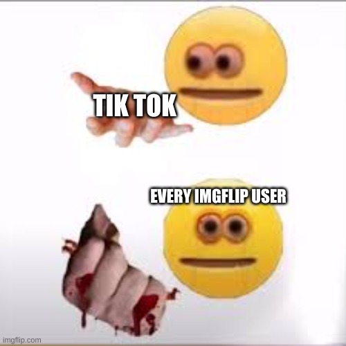 TIK TOK; EVERY IMGFLIP USER | image tagged in funny memes | made w/ Imgflip meme maker