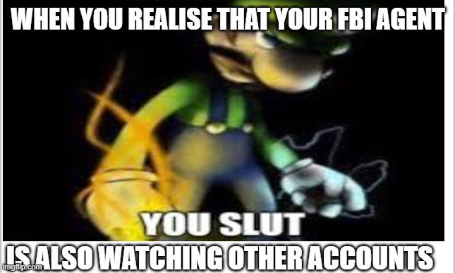 WHEN YOU REALISE THAT YOUR FBI AGENT; IS ALSO WATCHING OTHER ACCOUNTS | image tagged in memes | made w/ Imgflip meme maker