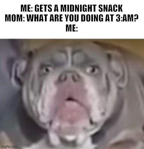 Huh? | ME: GETS A MIDNIGHT SNACK
MOM: WHAT ARE YOU DOING AT 3:AM?
ME: | image tagged in funny memes | made w/ Imgflip meme maker