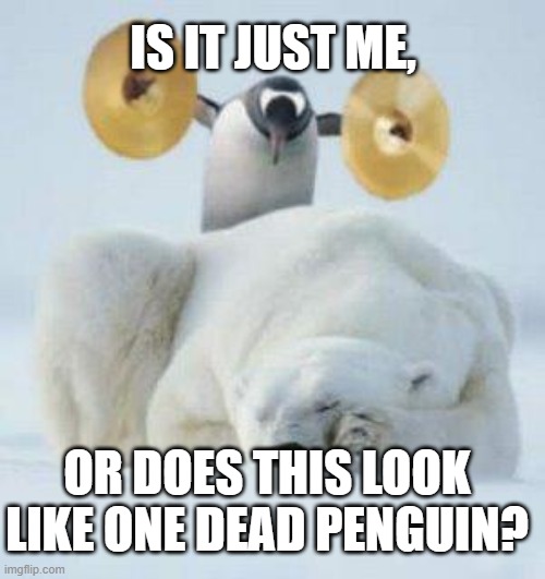 Wake Up | IS IT JUST ME, OR DOES THIS LOOK LIKE ONE DEAD PENGUIN? | image tagged in wake up | made w/ Imgflip meme maker